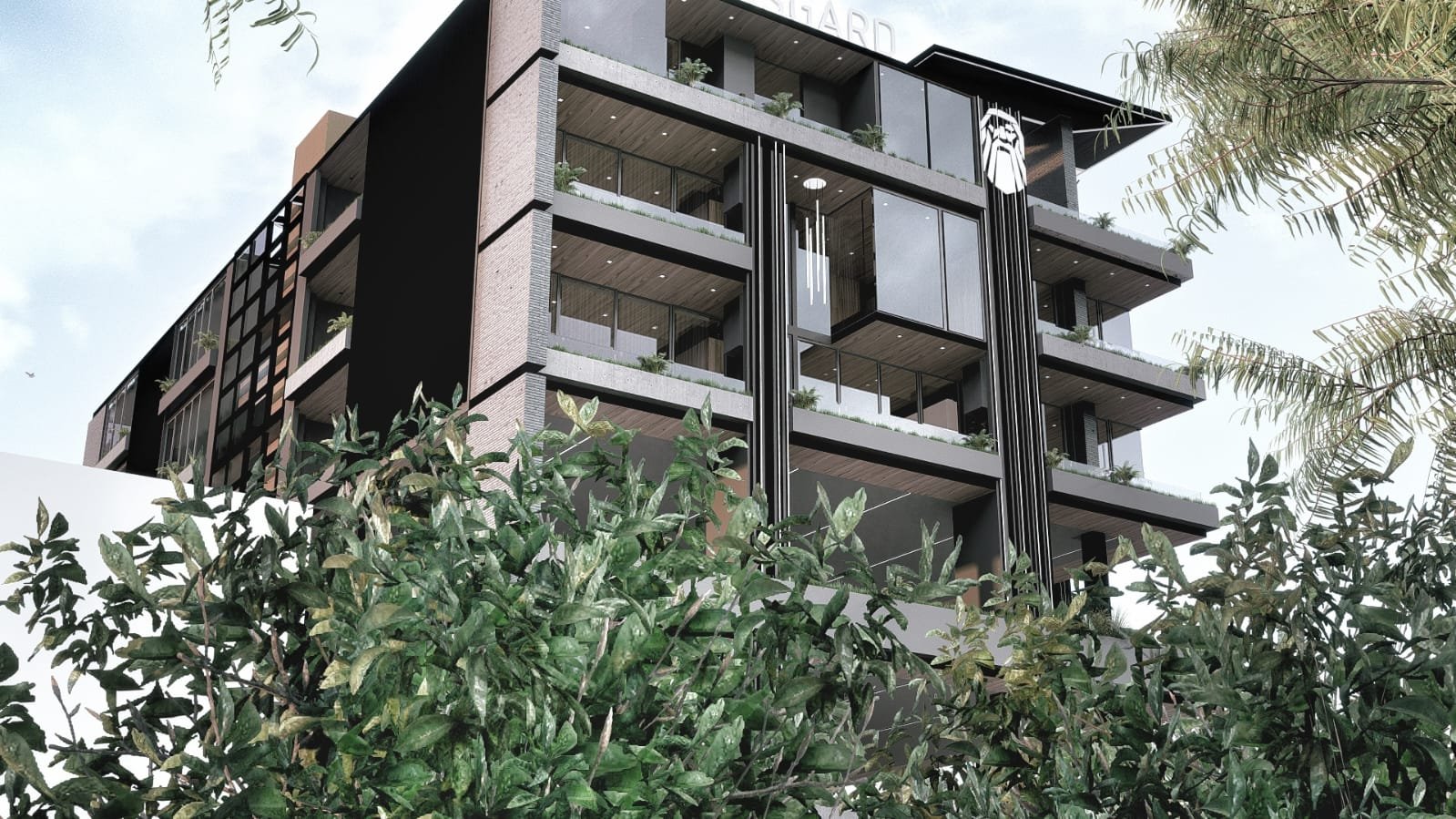 whatsapp image 2025 04 05 at 8.22.25 am (1)